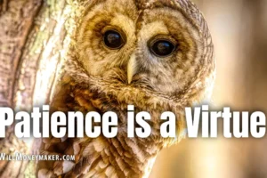 Patience is a Virtue