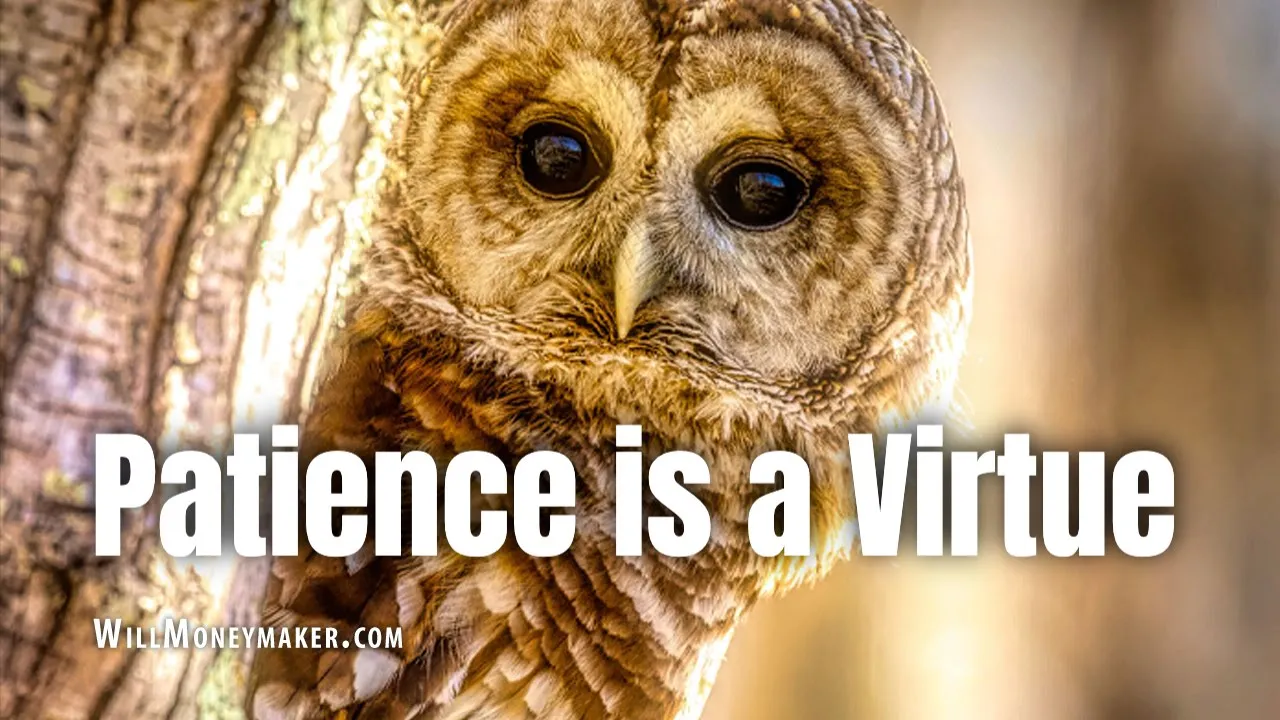 Patience is a Virtue