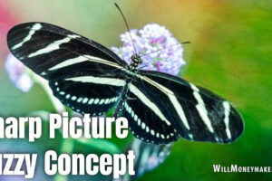 Sharp Picture, Fuzzy Concept