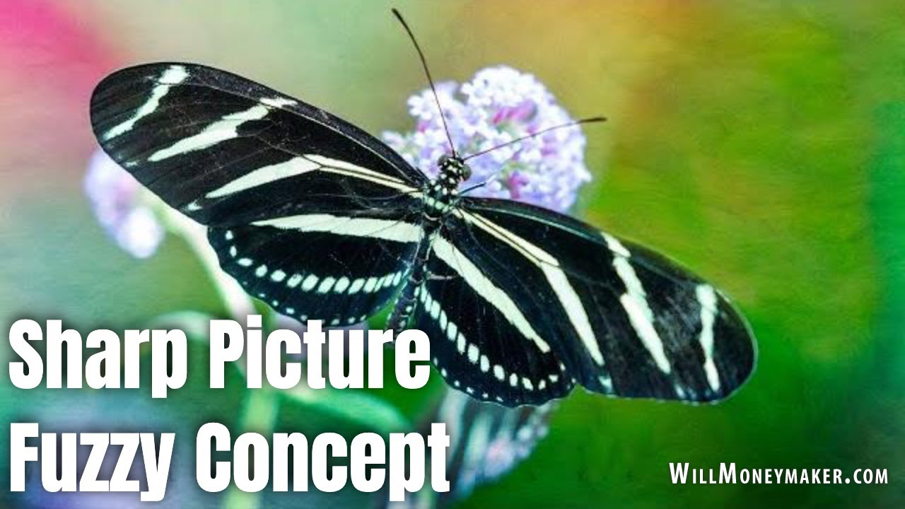 Sharp Picture, Fuzzy Concept