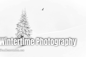 Ideas to Inspire Your Wintertime Photography