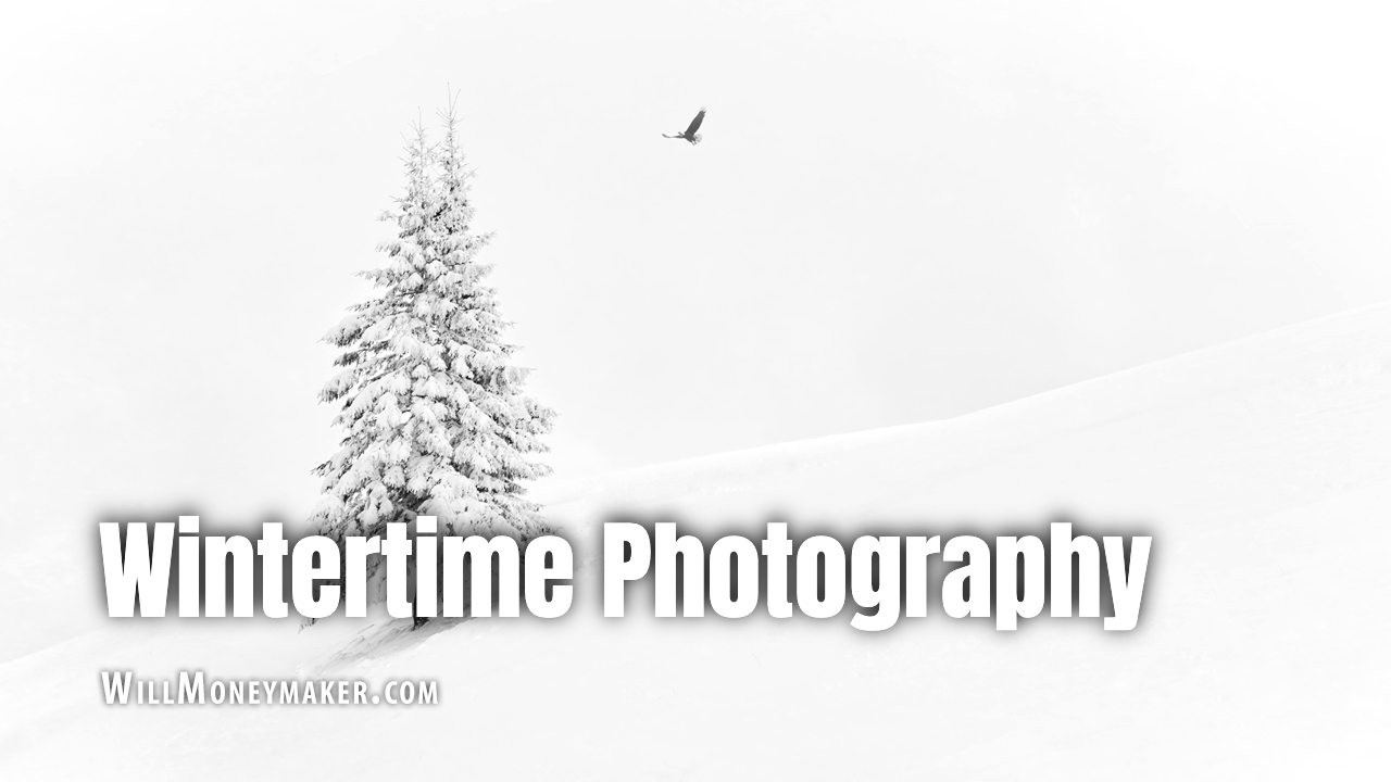 Ideas to Inspire Your Wintertime Photography