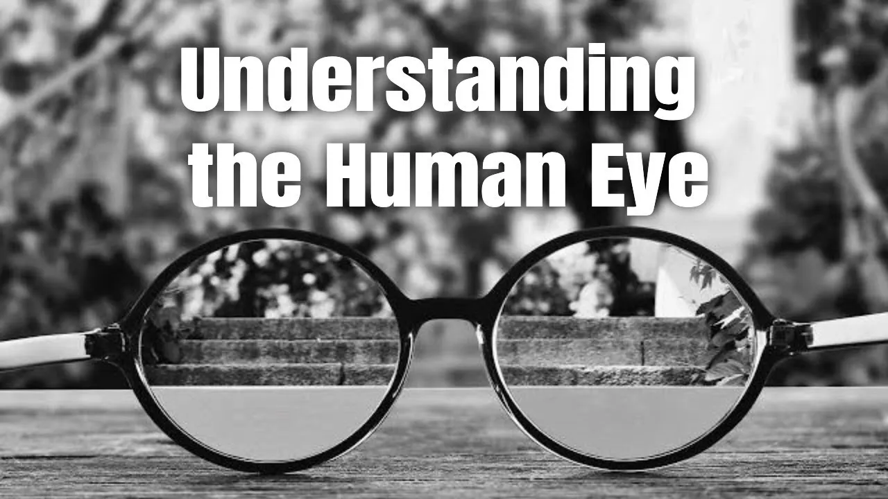 Understanding the Human Eye in Photography