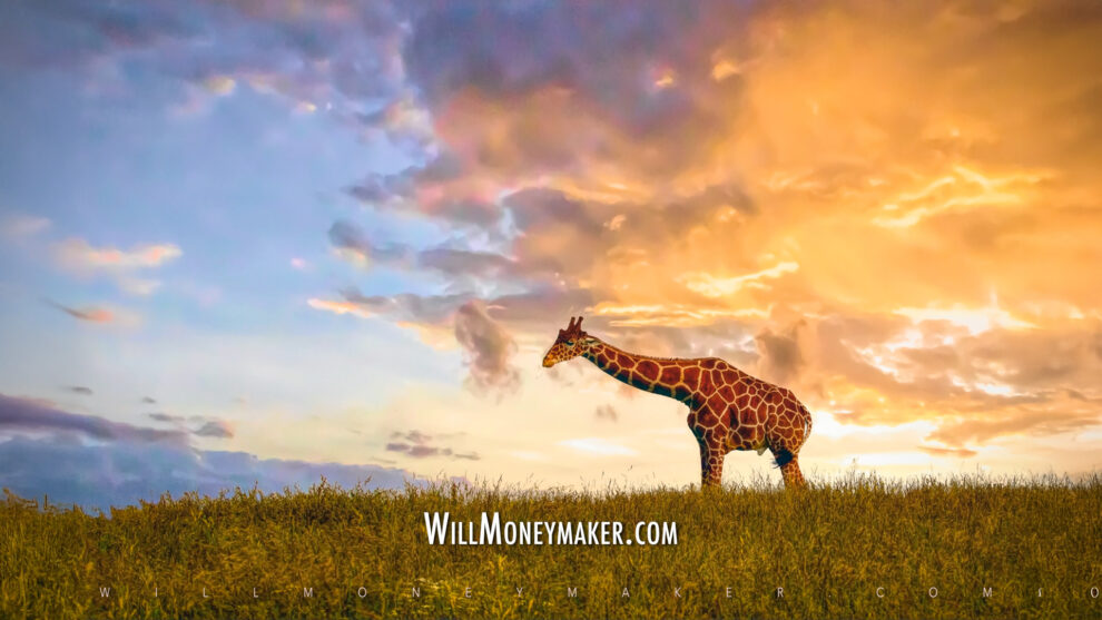 Exercising Your Creative Muscles