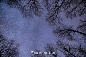 Capturing the Cosmos: A Journey into Night Sky Photography