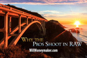 Why the Pros Shoot in RAW