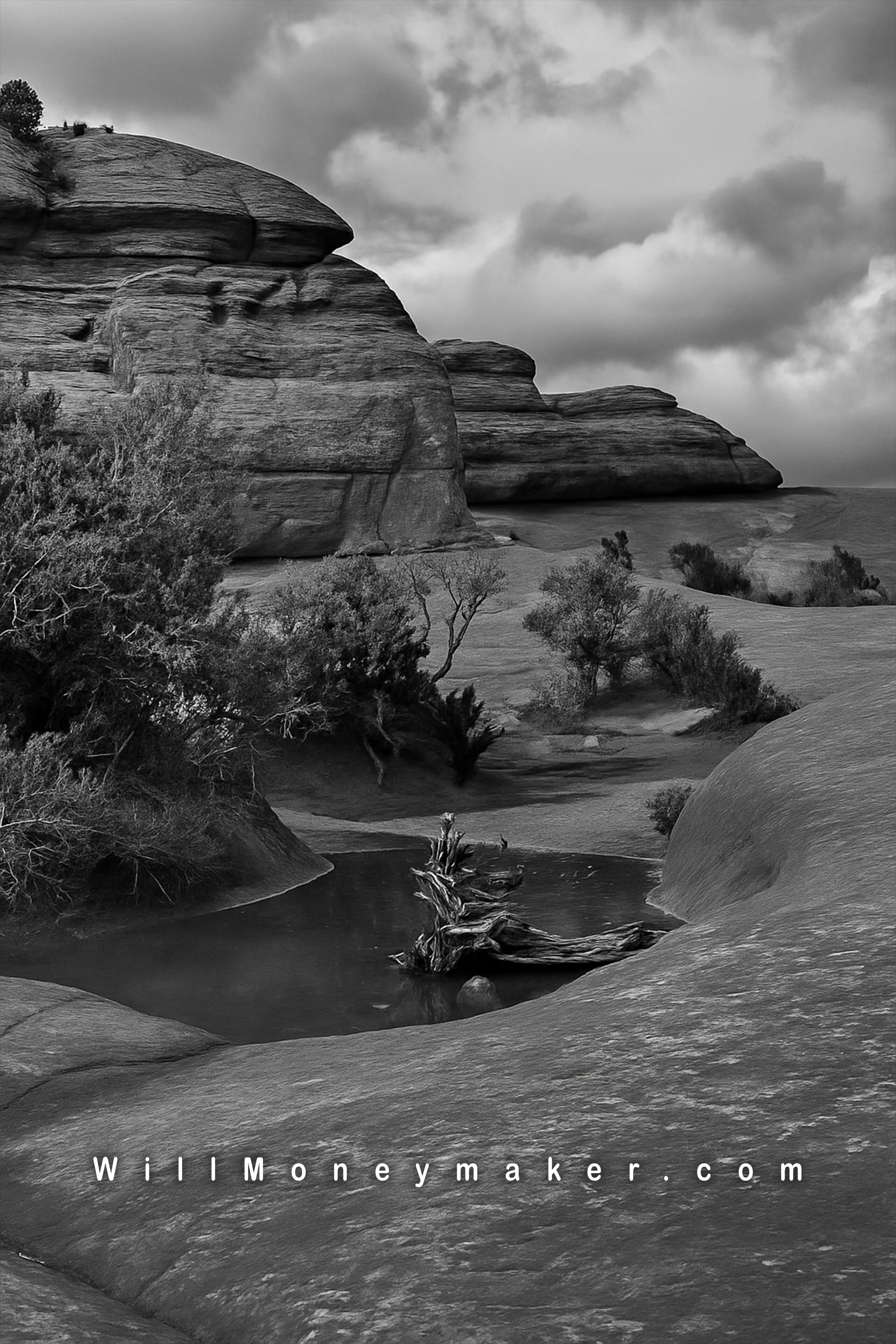 The Importance of Always Carrying Your Camera: Seizing Every Photographic Opportunity
