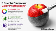 3-Essential-Principles-of-Color-Photography