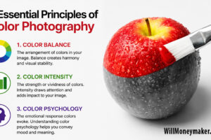 3-Essential-Principles-of-Color-Photography