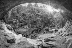Black-and-white woodland view framed by a rocky overhang, with sunlight and a small stone bridge. Photograph by Will Moneymaker.